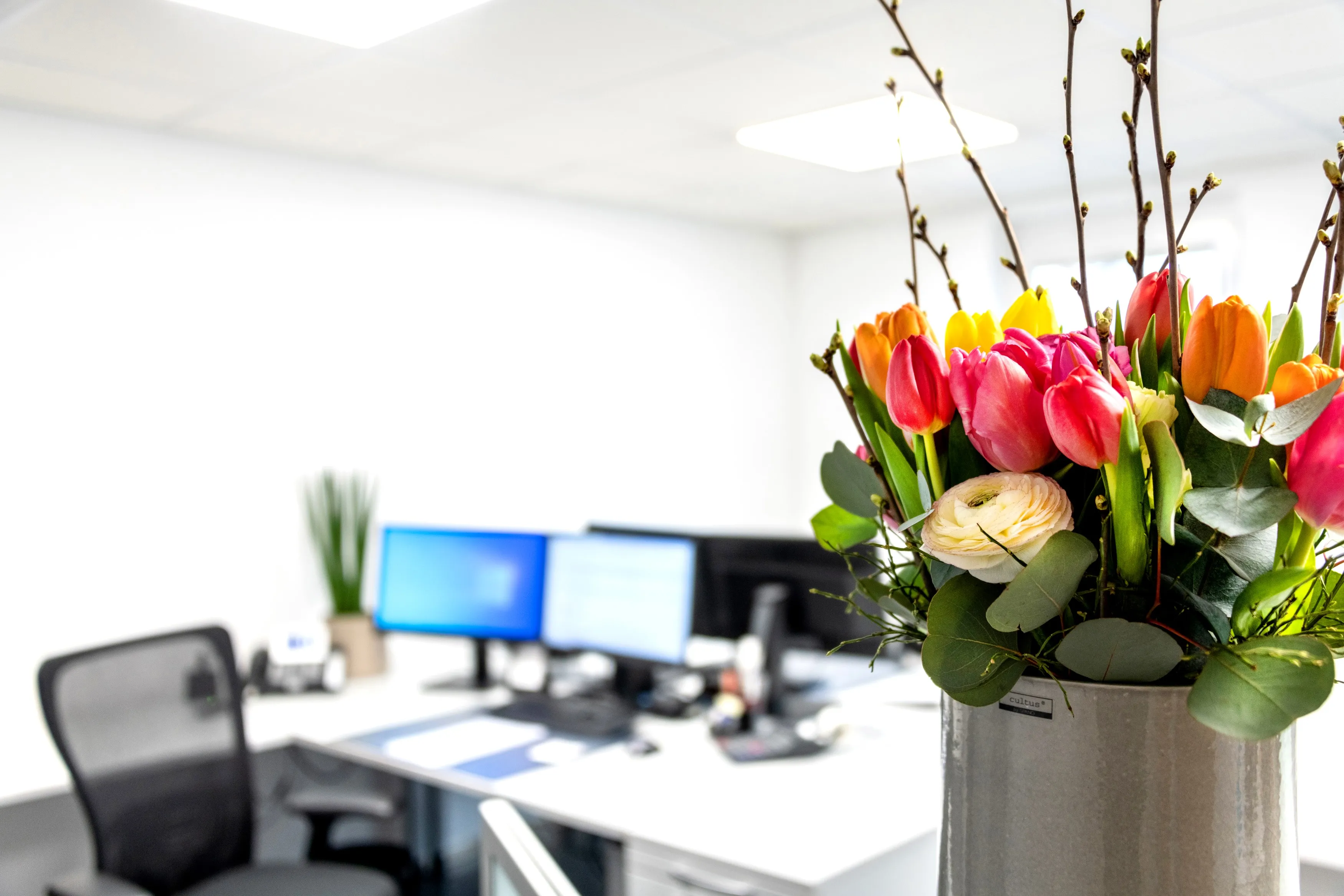 Moderner Arbeitsplatz der Steuerkanzlei mit mehreren Monitoren, ergonomischem Stuhl und einem Blumenstrauß im Vordergrund.